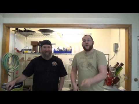 download lagu mp3 mp4 First Wort, download lagu First Wort gratis, unduh video klip First Wort