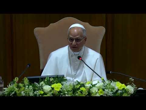 Pope warns some AI weapons 'practically beyond' human control