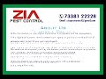 Pest Control Cockroach Service 1864 Termite Service Termite Treatment