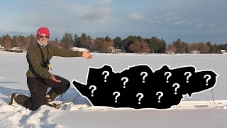 Quel est l'équipement nécessaire pour commencer la pêche sur glace!