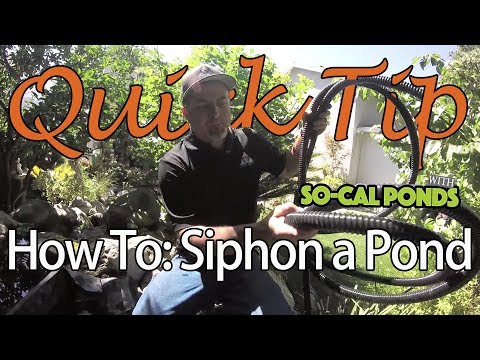 Quick Tip: How to Siphon a Pond