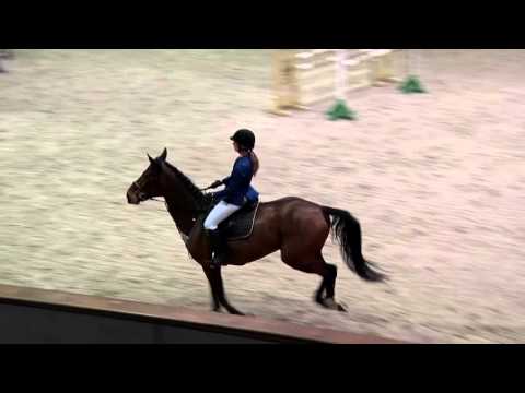 Friederike Kersten und Corahell - Springpferdeprüfung Kl. M*