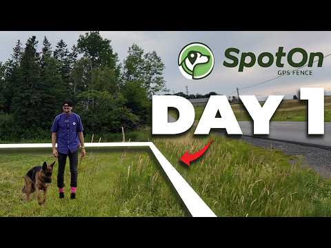 SpotOn GPS Fence Training for Beginners (Trainer Tested Method