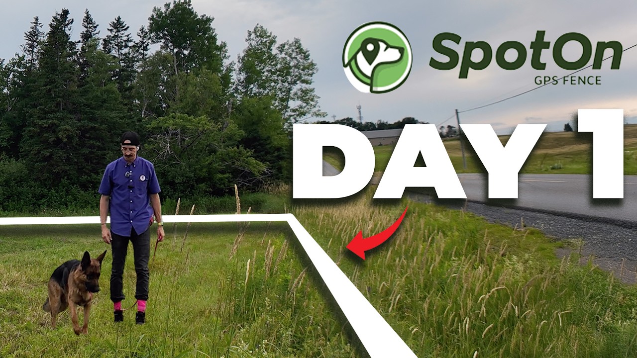 Entrenamiento de cercas con GPS SpotOn para principiantes (método probado por entrenadores)