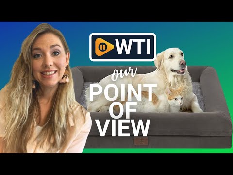 Yiruka Dog Beds - WTI product video review