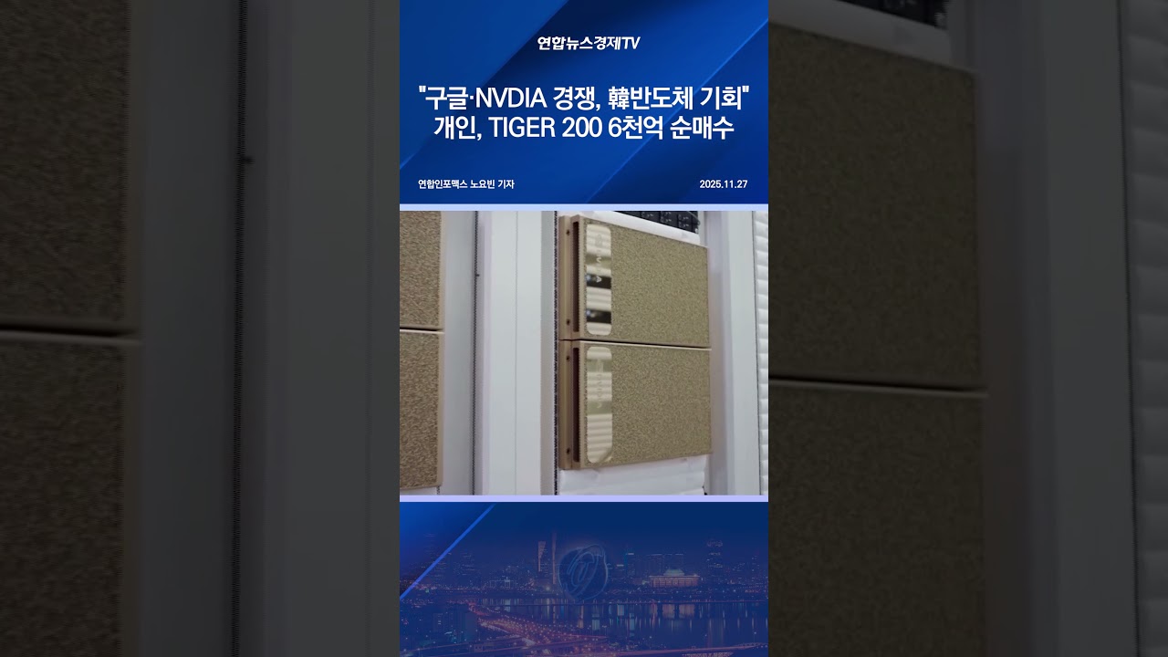 "구글·NVDIA 경쟁, 韓반도체 기회"…개인, TIGER 200 6천억 순매수