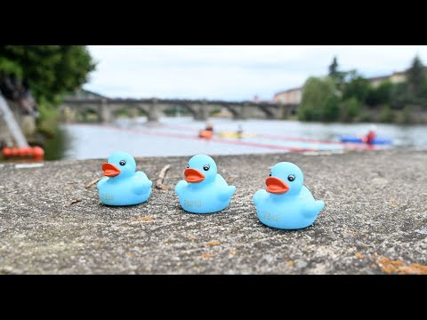 Duck Race sur la Loire à Brives-Charensac