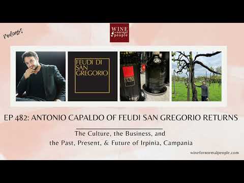 Episódio 482: Antonio Capaldo de Feudi San Gregorio retorna