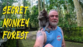 Exploring Bali's Secret Monkey Forest | Friendliest Attraction!