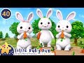 Bunnies Bunnies Little Baby Bum Animal Club Fun Songs For Kids