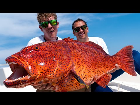 IK VANG DE MOOISTE VIS VAN DE ZEE!! - EGYPTE VLOG 4