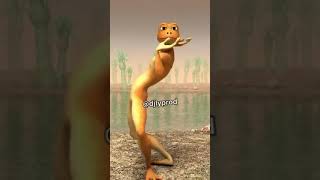 La grenouille qui danse