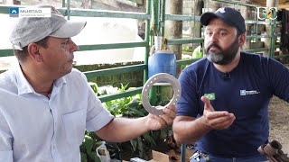 Miniatura do vídeo