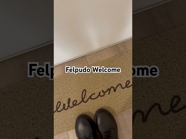 Vídeo relacionado con LUA VIKA Felpudo Entrada casa Originales y Divertidos - Aprobado por el Gato - 40x70 cm - Alfombra Entrada casa Exterior e Interior - Felpudo Coco - Resistente y Antideslizante