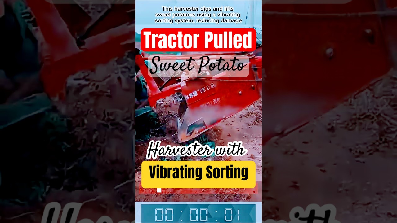 Tractor-Pulled Sweet Potato Harvester with Vibrating Sorting System