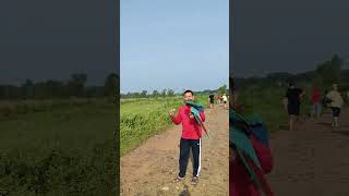 Download lagu Free fly Greenwinged macaw.. perdana mp3