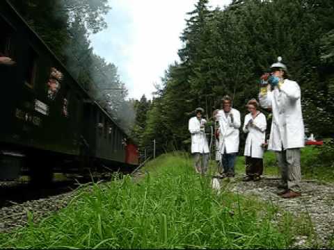 3. Hinwiler "Bahnüberfall" - wissenschaftlich