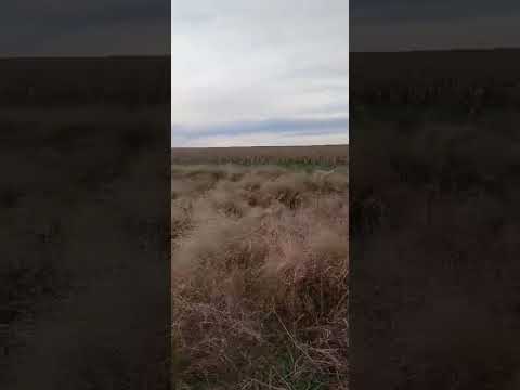 600 ha El Cuadrado