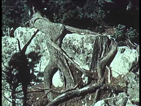 DEFA   Doku   1955   Gebirge und Meer CoP CSR DDR F, mit Spielszenen