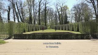 Трейлер превью