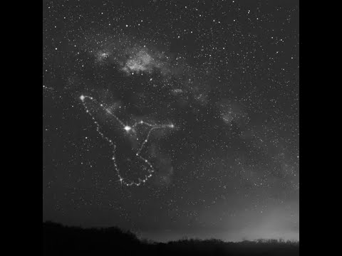 Random Movement - Categorized