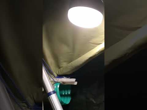 Windstärke 12+ im Wald im Fahrradwohnwagen mit Vorzelt (Februar 2022) ❄️🌬️