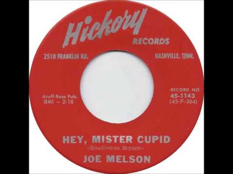 Joe Melson - Hey, Mister Cupid (STEREO)
