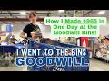 HOW I MADE 965 PROFIT AT THE GOODWILL BINS Thrift With Me For Resale