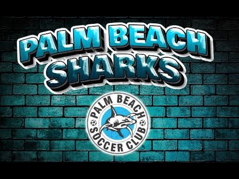 Wetpac Shooting Stars Round 7 - Palm Beach Sharks SC
