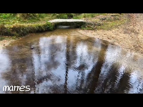 4 Stunden Wassergeplätscher im Bachlauf, Wald und Regen im Steinwald Oberpfalz - Entspannung & Ruhe