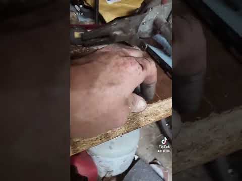 Convert free bearings on a 76 Puck moped to  sealed bearings rear spoked wheel