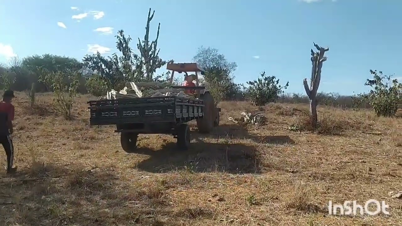 A Seca No Nordeste de Dezembro de 2023