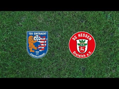 Hessenliga: Stadtallendorf - Dreieich