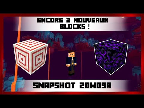 MINECRAFT SNAPSHOT 20W09A EN MOINS DE 2 MINUTES !