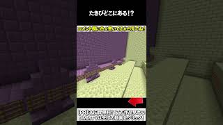 【マイクラ】たきびどこにあある！？ #マイクラ #マインクラフト #逃走中  #shorts