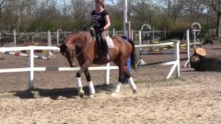 Video of Piroschka 647