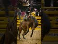 Brody and Ryder both make an 89.5 ride in Round 5 to secure the win!