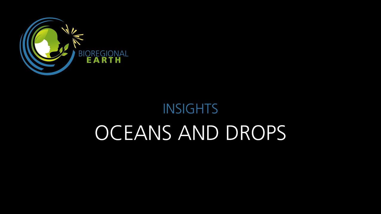 Insights: Oceans And Drops with Joe Brewer and Jonathan Rowson