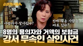 Download lagu [#용감한형사들4] 친언니의 눈물 뒤에 가려진 소름 끼치는 살인 계획 | 요약본 mp3