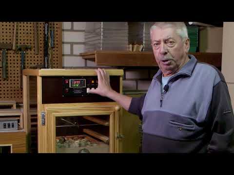 download lagu mp3 mp4 Broedtijd Kip, download lagu Broedtijd Kip gratis, unduh video klip Broedtijd Kip