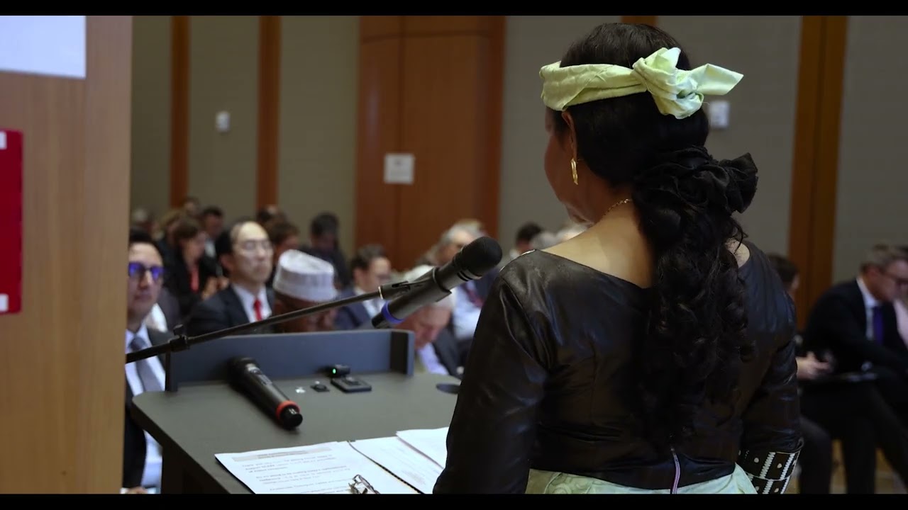 Remarks from Chad-GCERF Second Pledging Conference