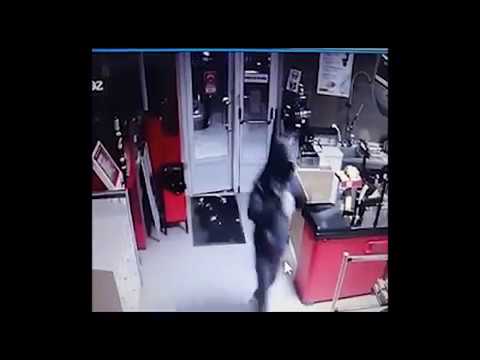 Spargere la supermarketul PROFI din Beregsau Mare