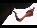 Aladdin Cobra Jafar
