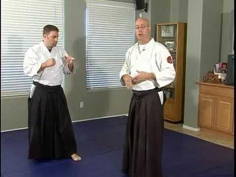 Advanced Aikido Techniques: Kick & Punch Combo Part 1