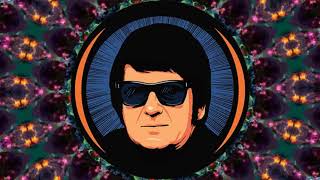 ROY ORBISON - (SAY) YOU'RE MY GIRL
