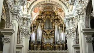 Johann Sebastian Bach Performed by Hannes Kstner: Toccata and Fugue in D Minor