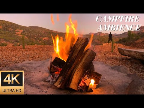 4K Campfire Ambience at Sunrise in the Karoo, South Africa - Relaxing Fire & Nature Sounds