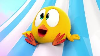 Chicky's Dream Vacation | Where's Chicky? | Cartoon Collection in English for Kids | New episodes