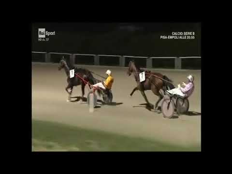 DERBY DEL TROTTO 2019 ALRAJAH ONE