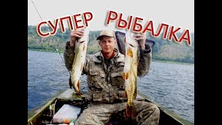 Рыбалка в июне на окуня щуку плотву язя